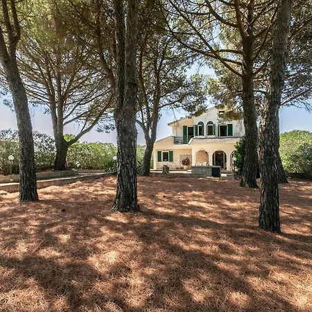 3 Bedroom Cozy In